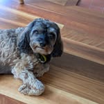 Mark Kettle - @ketts7667 - Instagram