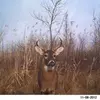 Mark Kettlewell - @markkettlewell - TikTok