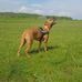 Mark Kibble - Facebook