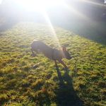 Mark Kibble - @k133le - Instagram