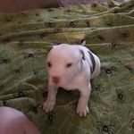 Mark Kiger - @mark.kiger.1804 - Instagram