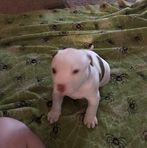 Mark Kiger - Facebook