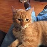 Mark Kiger - @mkiger - Instagram