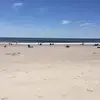 markkiger141 - @markkiger141 - TikTok