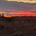 Mark Killen - @mark.killen.589 - Instagram