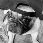 Mark Kilpatrick - @kilpatrick9742 - Instagram