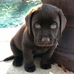 MARK D KINDER - @markdkinder - Instagram