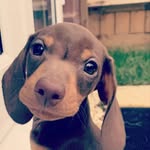 Mark Kinder - @markkinder2 - Instagram