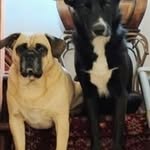 Mark Kinder - @kramrednik - Instagram