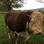 Mark Kinman - @kinman.mark - Instagram