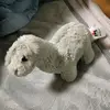 mark - @markkirsch - TikTok