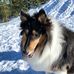 Mark Klang - Facebook