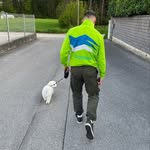 Marklemen - @markklemen - Instagram