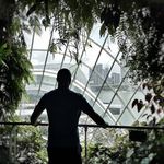 Mark Klinger - @mt.klinger - Instagram