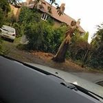 Mark Knaggs - @mark.knaggs.7 - Instagram