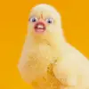 user274271106569 - @markjanknepper - TikTok