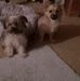 Mark Knipp - Facebook