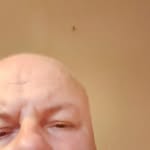Mark Knowles - @knowlesmark46 - Instagram