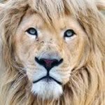 Mark Knowles - @mark_a_knowles - Instagram