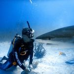 Mark Knowles - @msk4b - Instagram