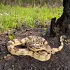 Mark Knowles - @alabamaherping - TikTok