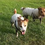 Mark Knowles - @mark.knowles.94009 - Instagram