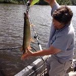 Mark Knuth - @mark.knuth.62 - Instagram