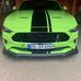 Markus Knuth - Facebook