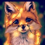 Mark koch - @mark.koch2005 - Instagram