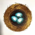 Mark Koch - @covingtonkoch - Instagram