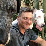 Mark Koch - @markkoch2217 - Instagram