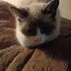 Mark Koehler - @mark.koehler05 - TikTok