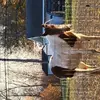 markkoehler48 - @mark.koehler84 - TikTok