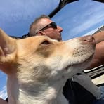 Mark Koffler - Facebook