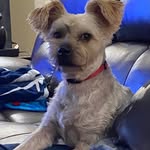 Mark Koonce - @m11koonce - Instagram