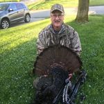 Mark Korbar - @markkorbar - Instagram