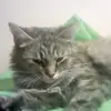 просто чел👑 - @markkot_ - TikTok