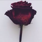 Exstas Kot - @_mark_kot_666_tattoo_ - Instagram
