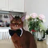 SuperMark.cat - @mark.kott - TikTok