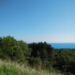 Mark Kozyrev - @mark_kozyrev11 - Instagram