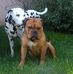 Marc Kreiser - Facebook