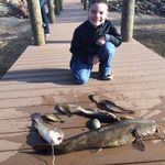 Mark Krieg - @mkrieg3 - Instagram