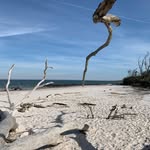 Mark Krigbaum - @mkrig - Instagram