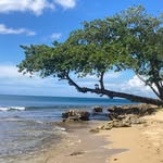 Mark Kroger - @mk_48198 - Instagram