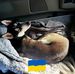 Mark Kromer - Facebook