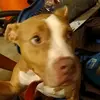Mark Krug - @markkrug496 - TikTok