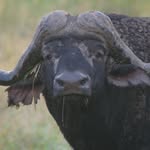 Mark Kruger - @mark_kruger_slingervel - Instagram
