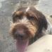 Mark R Krupp - Facebook