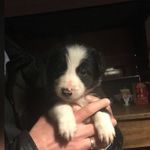Markkuipers - @markkuipers7 - Instagram