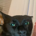Mark Kulik - @mark.kulik.923 - Instagram